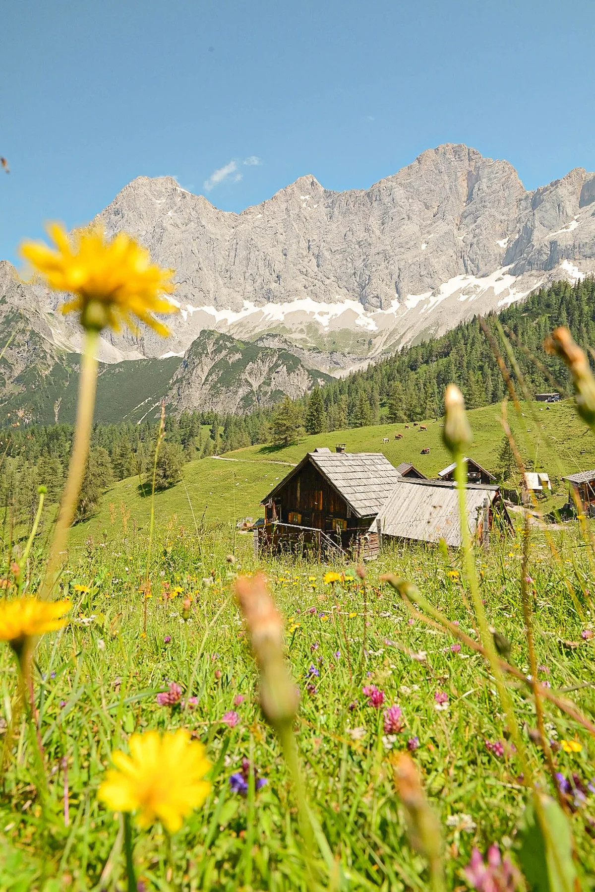 Alpenurlaub in Ramsau am Dachstein