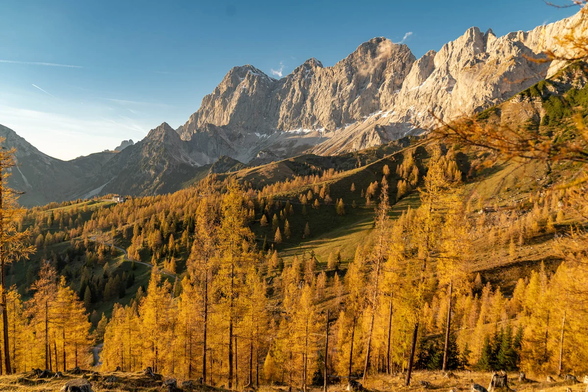 5 Nächte zum Preis von 4